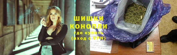 сатива Нязепетровск