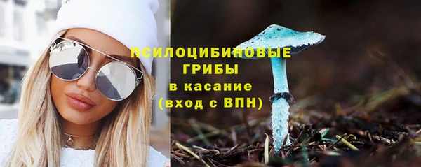 сатива Нязепетровск