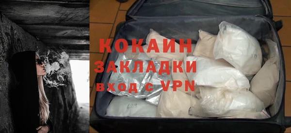 прущие грибы Няндома
