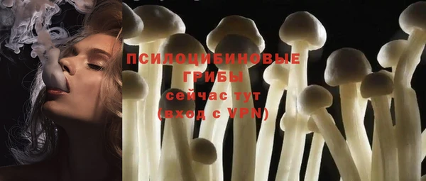 прущие грибы Няндома