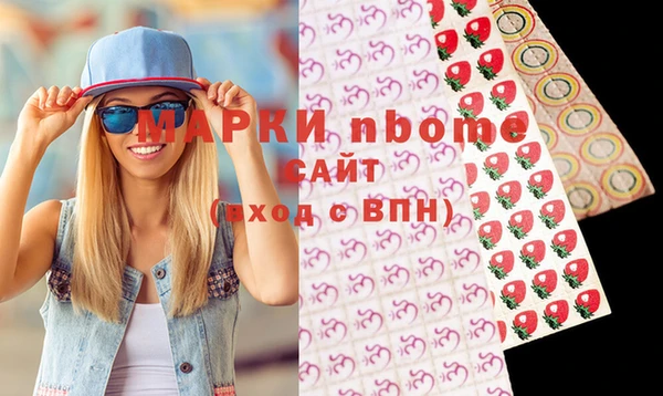 прущие грибы Няндома
