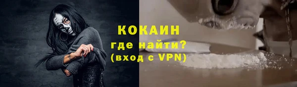 прущие грибы Няндома