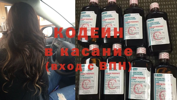 прущие грибы Няндома