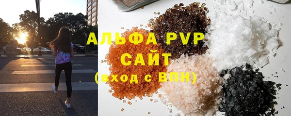 прущие грибы Няндома
