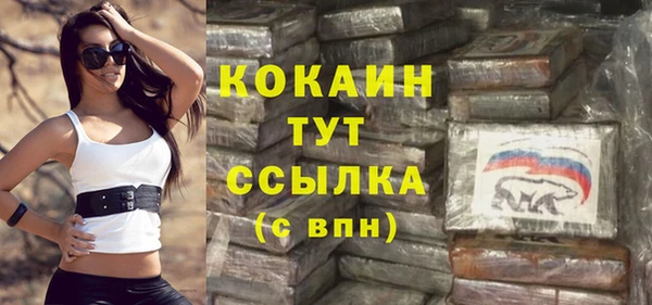 прущие грибы Няндома