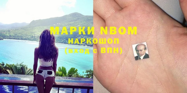 прущие грибы Няндома