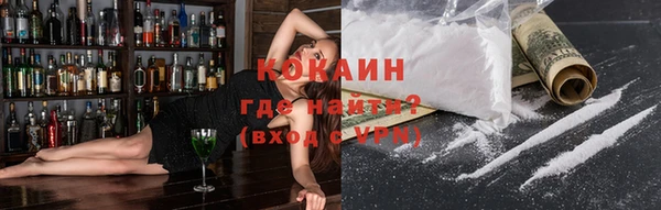 прущие грибы Няндома