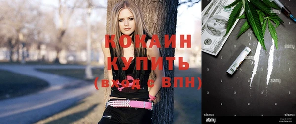 прущие грибы Няндома