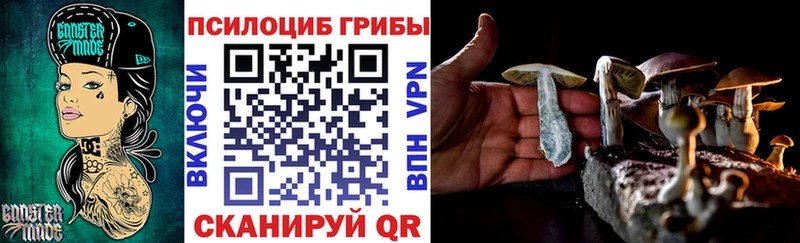 Галлюциногенные грибы Psilocybine cubensis  купить  цена  Покровск 